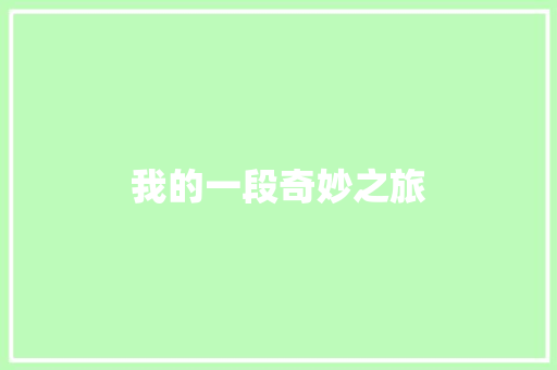 我的一段奇妙之旅