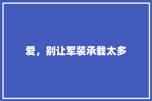 爱，别让军装承载太多
