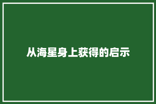 从海星身上获得的启示