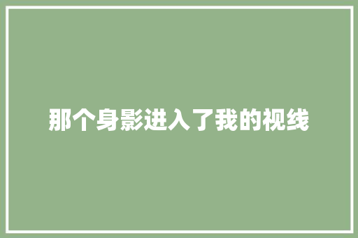 那个身影进入了我的视线
