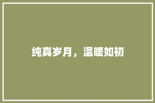 纯真岁月，温暖如初