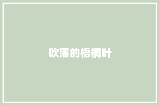 吹落的梧桐叶