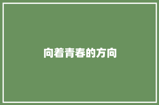 向着青春的方向