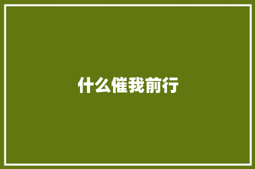 什么催我前行