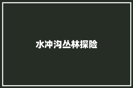 水冲沟丛林探险