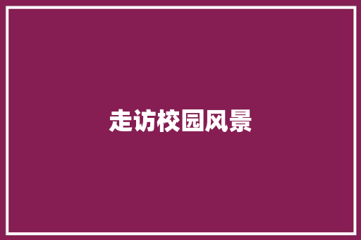 走访校园风景