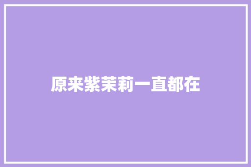 原来紫茉莉一直都在