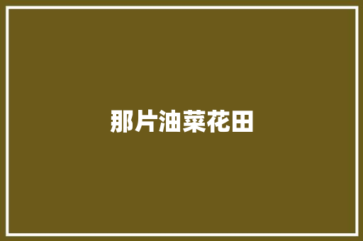 那片油菜花田