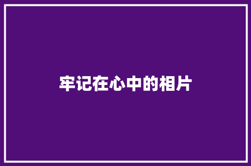 牢记在心中的相片