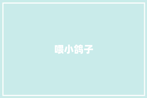 喂小鸽子