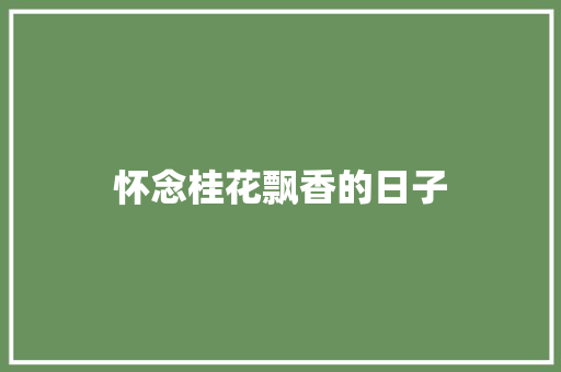 怀念桂花飘香的日子