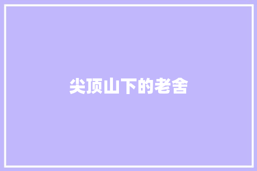 尖顶山下的老舍