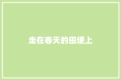 走在春天的田埂上