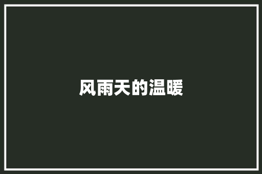 风雨天的温暖