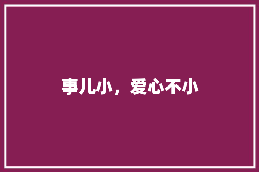事儿小，爱心不小