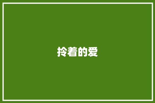 拎着的爱