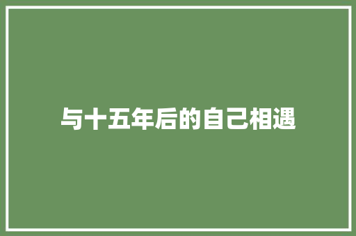 与十五年后的自己相遇