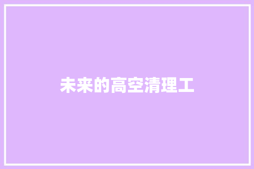 未来的高空清理工