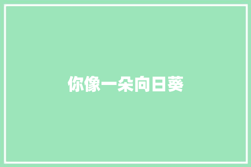 你像一朵向日葵