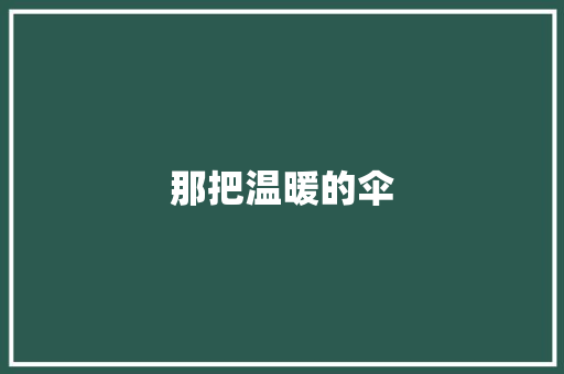 那把温暖的伞