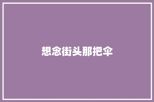想念街头那把伞