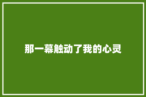 那一幕触动了我的心灵