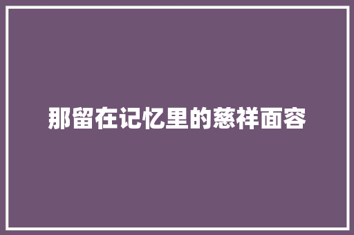 那留在记忆里的慈祥面容