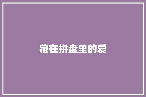 藏在拼盘里的爱
