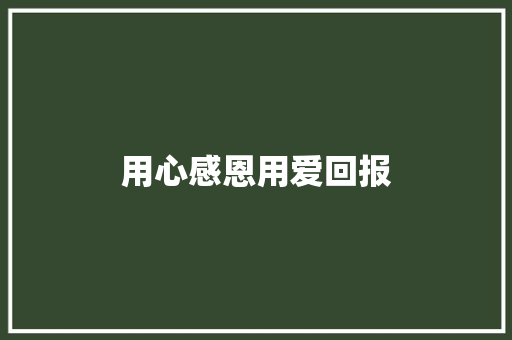 用心感恩用爱回报