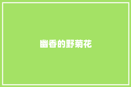 幽香的野菊花