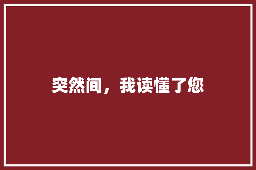 突然间，我读懂了您