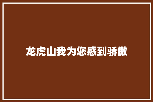 龙虎山我为您感到骄傲