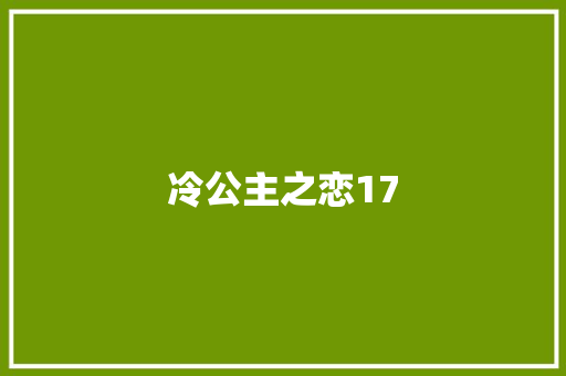 冷公主之恋17