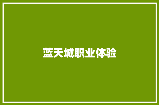 蓝天城职业体验