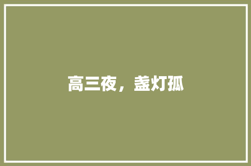 高三夜，盏灯孤