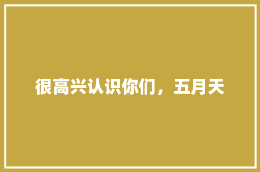 很高兴认识你们，五月天