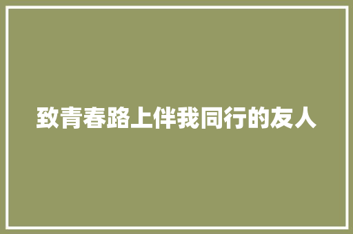 致青春路上伴我同行的友人