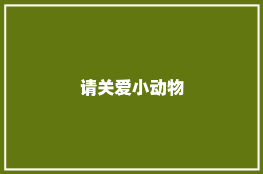 请关爱小动物