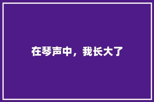 在琴声中，我长大了