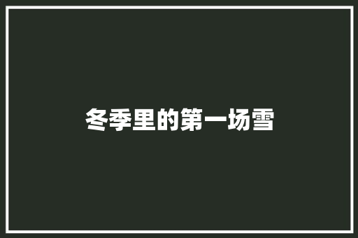 冬季里的第一场雪