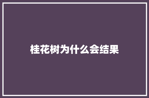 桂花树为什么会结果