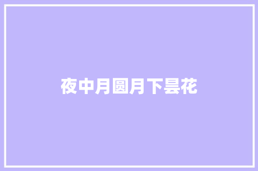 夜中月圆月下昙花