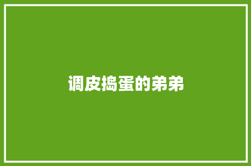 调皮捣蛋的弟弟