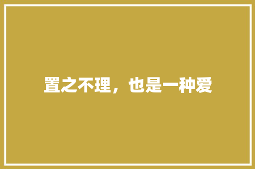 置之不理，也是一种爱
