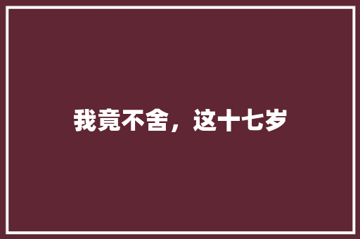 我竟不舍，这十七岁