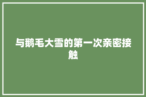 与鹅毛大雪的第一次亲密接触