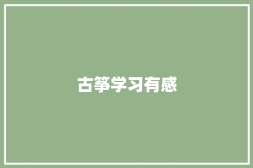 古筝学习有感