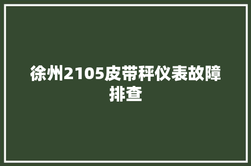 徐州2105皮带秤仪表故障排查