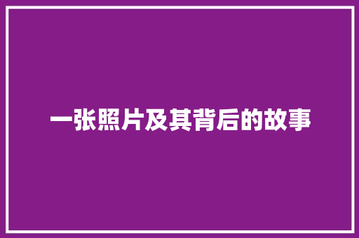 一张照片及其背后的故事