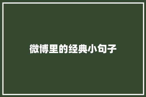 微博里的经典小句子